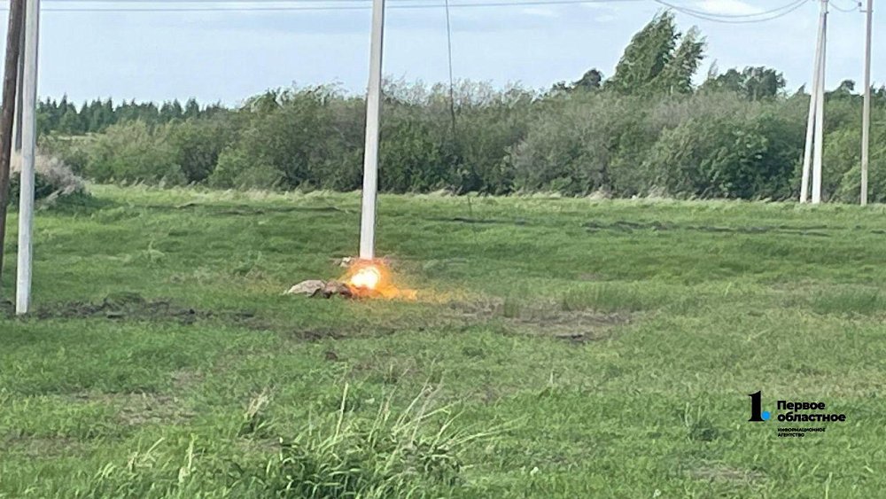 В Кунашакском районе оборвавшийся провод высокого напряжения убил пять овец