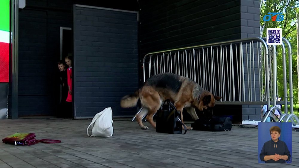 В регионе отмечают День пограничника