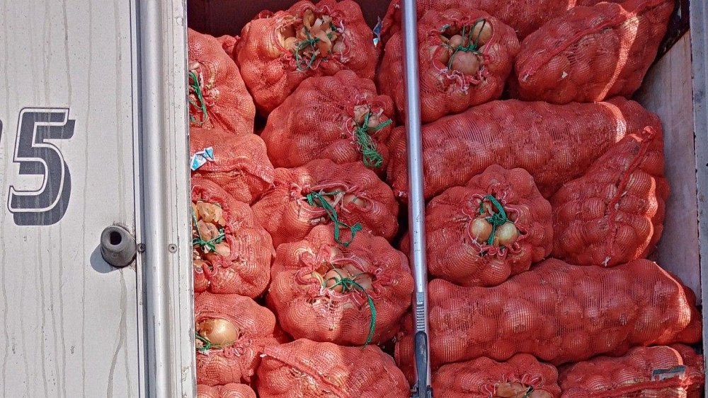 В Челябинскую область запретили ввоз 38 тонн лука из Казахстана