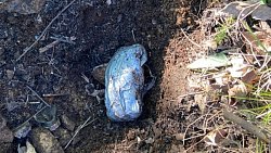 У челябинца изъяли более полукилограмма «синтетики»