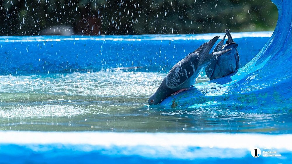 Челябинцев предупредили о жаре до +36°C в начале лета