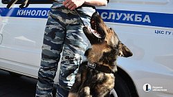 Полиция поздравила челябинских ребятишек с Днем защиты детей