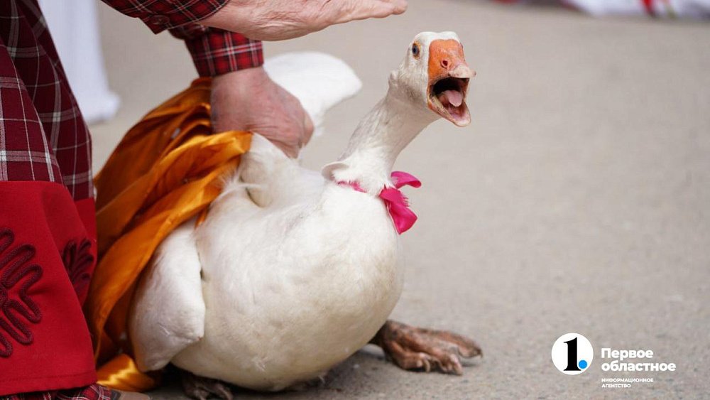 В челябинском Париже прошел гусиный забег
