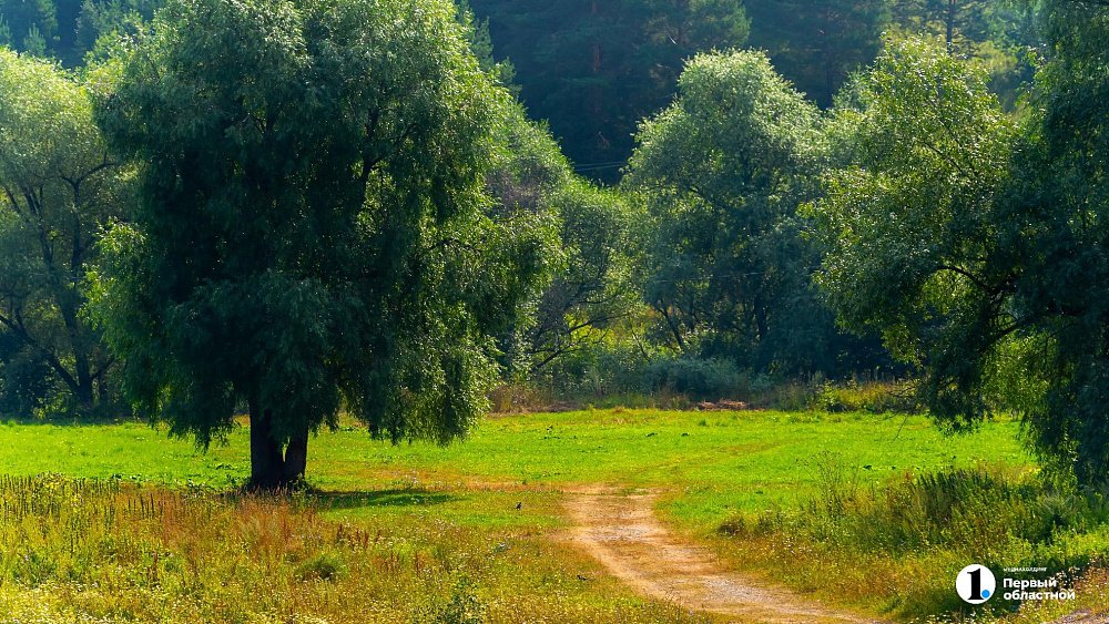 Июнь-2025 в Челябинской области будет теплым