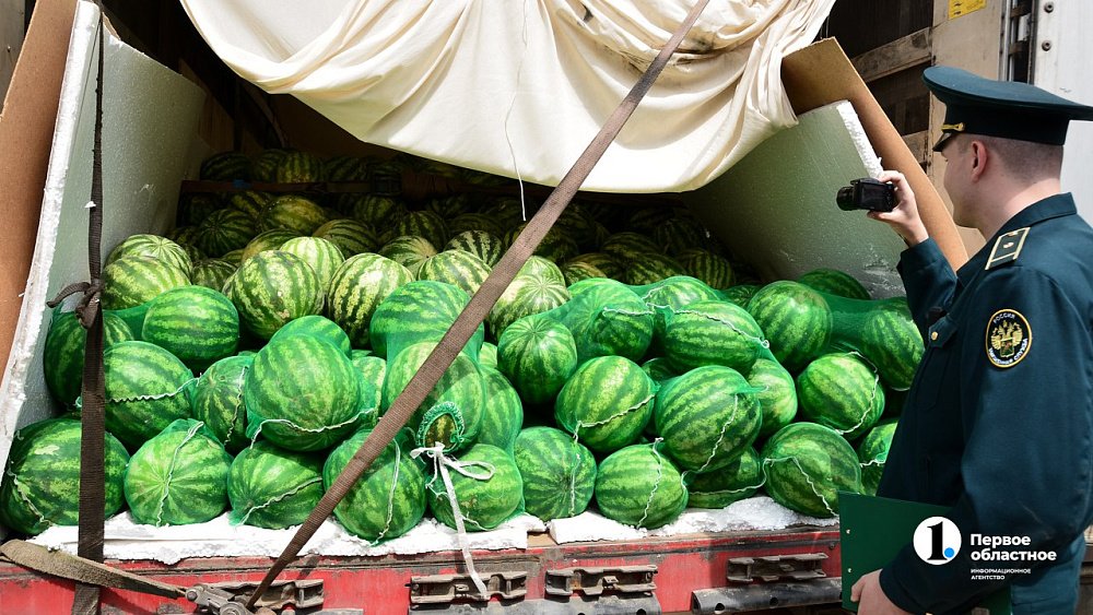 Дорога до прилавка: какой путь проходят фрукты до челябинцев