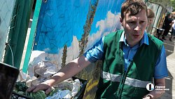 Дорога до прилавка: какой путь проходят фрукты до челябинцев