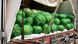 Дорога до прилавка: какой путь проходят фрукты до челябинцев