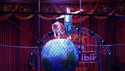 В Челябинске ветераны СВО вместе с семьями посетили шоу Московского цирка