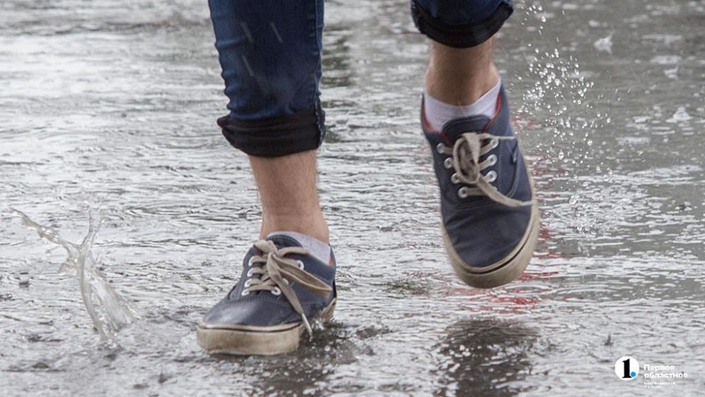 Понижение температуры и сильные дожди с грозами прогнозируют в Челябинской области 3 июня