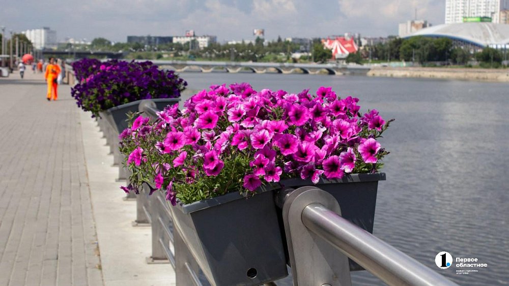 Алексей Текслер: защита окружающей среды — один из ключевых приоритетов