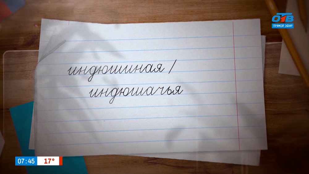 Разбираемся с прилагательными «индюшиный» и «индюшачий» в рубрике «Простые правила»