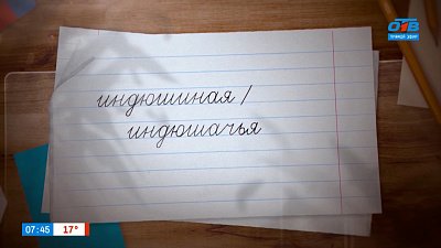 Разбираемся с прилагательными «индюшиный» и «индюшачий» в рубрике «Простые правила»