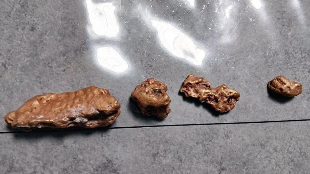 У жителя Миасса изъяли золота и серебра на 14 млн рублей