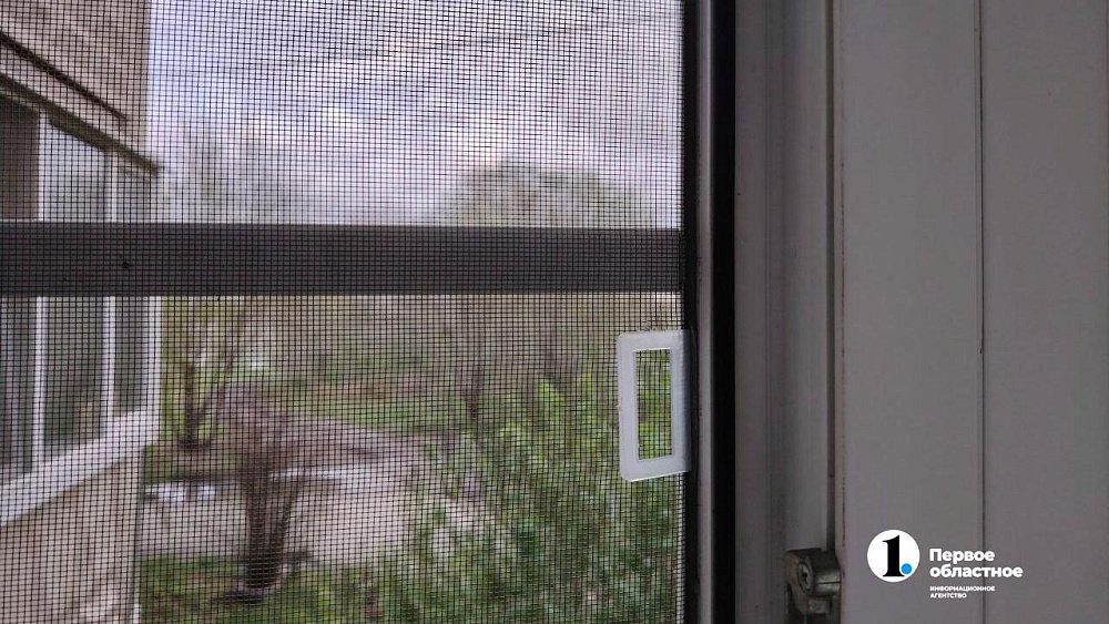 В Златоусте ребенок выпал из окна с москитной сеткой
