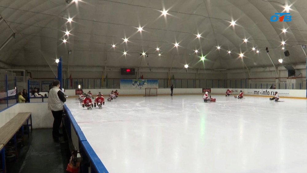 Сборной области по следж-хоккею передали комплект новых клюшек