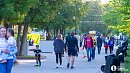 На Южном Урале вырос спрос на услуги дизайнеров, строителей, клинеров и грузоперевозчиков