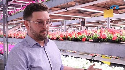 На рекультивированной городской свалке вырастили саженцы цветов