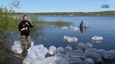 В Челябинской области зарыбляют водоемы