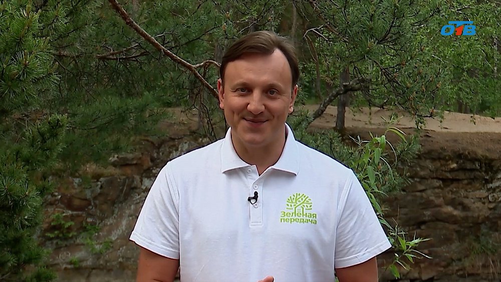 Хитрости и приемы для садовых работ в начале лета