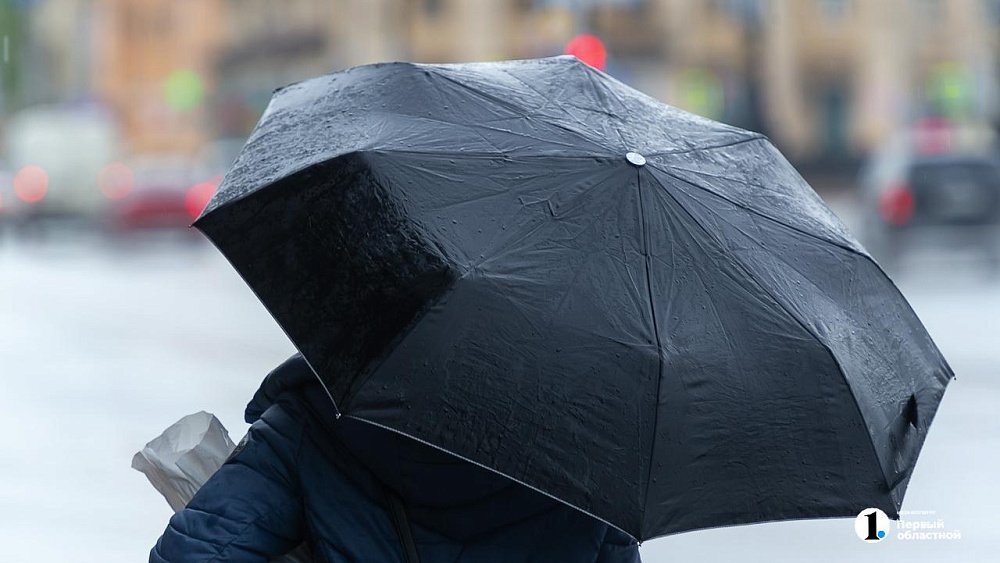 Северный ветер и кратковременные дожди ожидаются в Челябинской области 6 июня