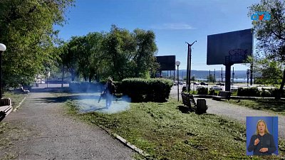 На территории Златоуста проводят повторный этап обработки от клещей