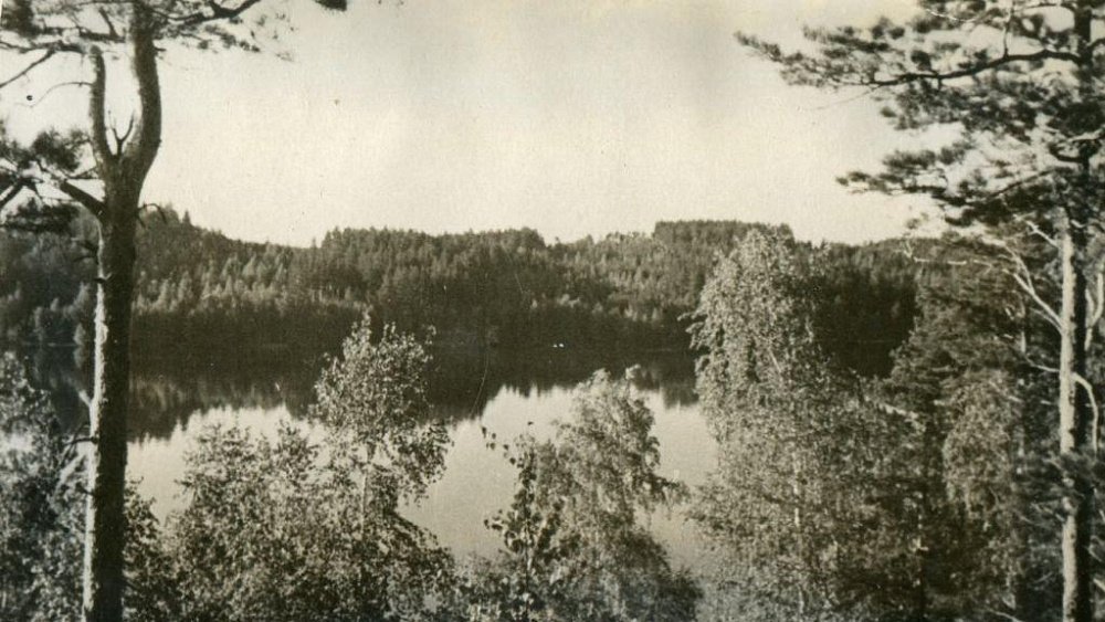 В Ильменском заповеднике в годы Великой Отечественной войны истребили всех лосей