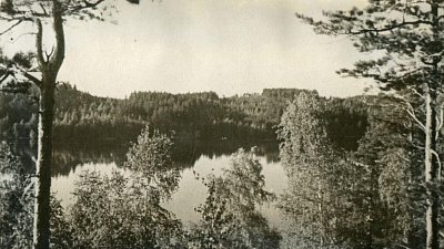 В Ильменском заповеднике в годы Великой Отечественной войны истребили всех лосей