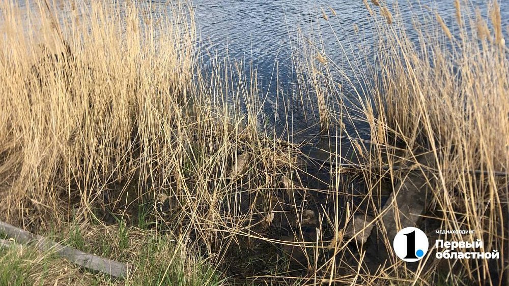 За убийство дочери магнитогорец получил 8 лет строгого режима