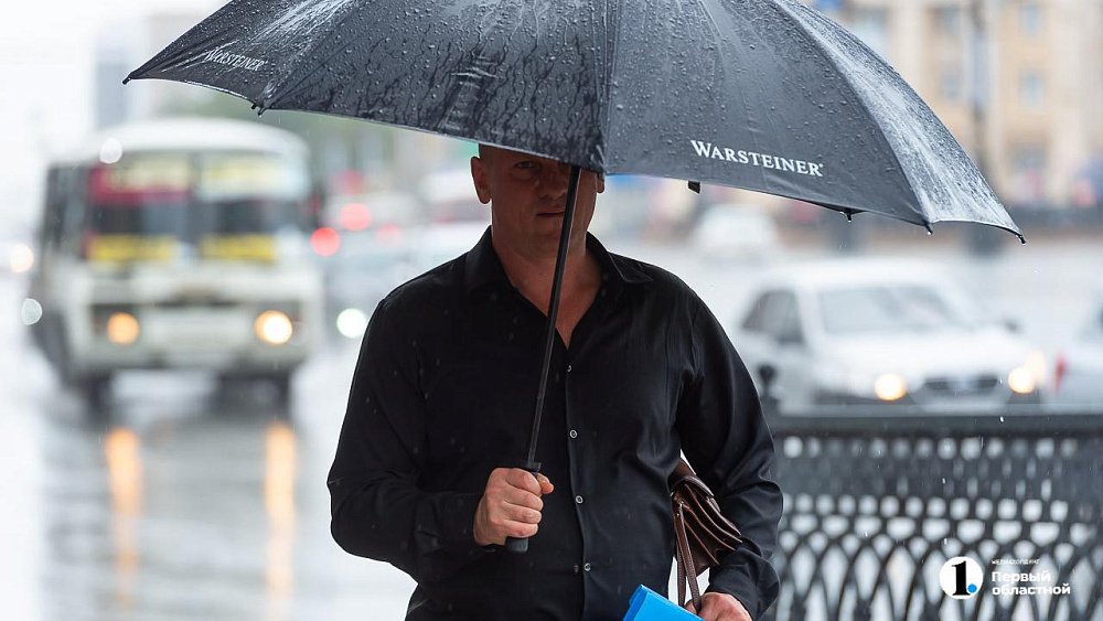 Локальные грозы и жару до +31 °C прогнозируют в Челябинской области 10 июня