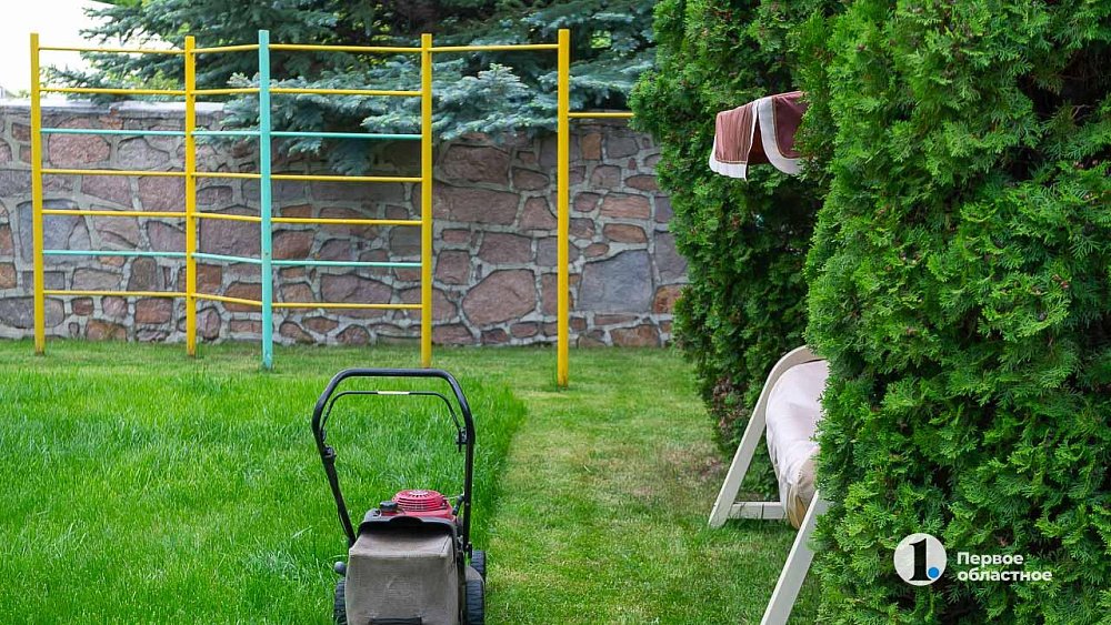 Челябинский садовод разъяснил правила установки глухих заборов в садах