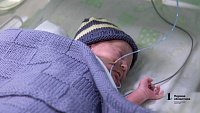 В Челябинске недоношенных малышей помогают выхаживать мамы‑кенгуру и вязаные игрушки
