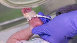 В Челябинске недоношенных малышей помогают выхаживать мамы‑кенгуру и вязаные игрушки