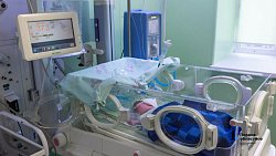 В Челябинске недоношенных малышей помогают выхаживать мамы‑кенгуру и вязаные игрушки