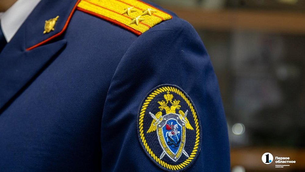 В Южноуральске 13‑летний треш‑блогер избила сверстницу на камеру