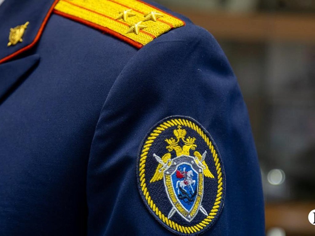 В Южноуральске 13‑летний треш‑блогер избила сверстницу на камеру
