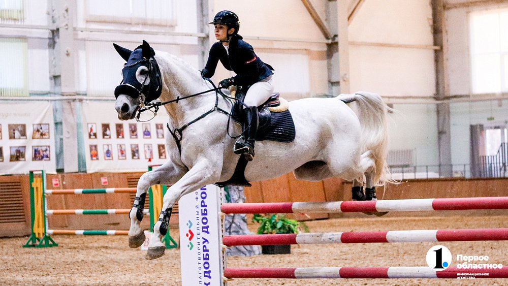 Более 100 спортивных пар сразятся за Кубок губернатора по конкуру в Челябинске