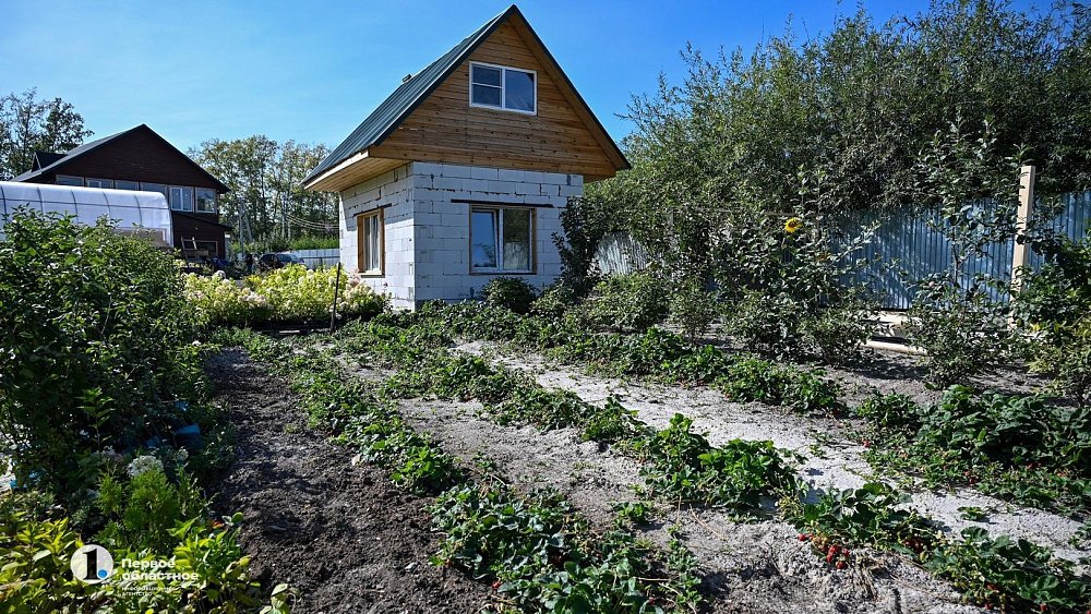 Погодные качели вредят будущему урожаю овощей