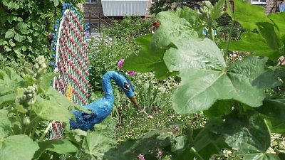 В Златоусте местная жительница превращает двор в волшебный сад