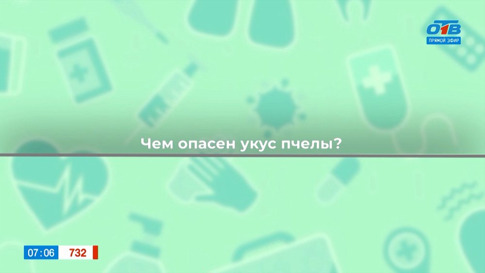 Первая помощь при укусе пчел в рубрике «Здоровая среда»