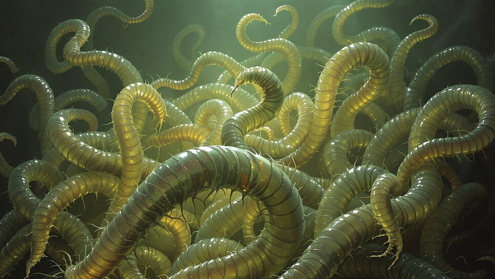 Живут ли в вашем теле паразиты