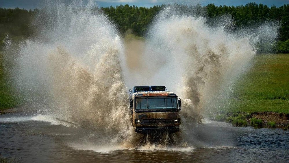 Коровы в Миассе едва не сорвали старт гонки «Уральский рубеж»