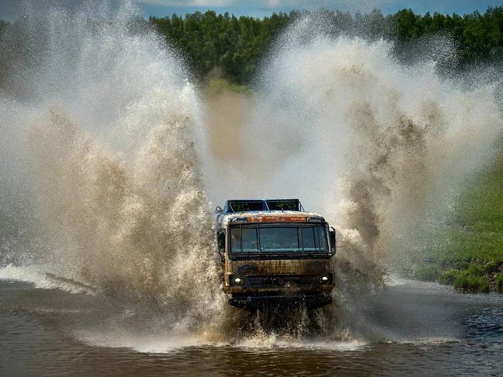 Коровы в Миассе едва не сорвали старт гонки «Уральский рубеж»