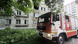 Челябинские пожарные спасли двух котов, надышавшихся угарным газом