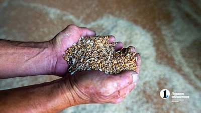 На Южном Урале предложили создать особые экономические зоны в сфере АПК