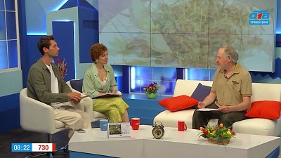 В Челябинской области уже можно собирать землянику