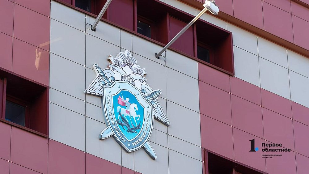 Следственный комитет проверит условия жизни шестилетней челябинки