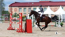 17-летняя челябинка сотворила сенсацию на Кубке губернатора по конкуру