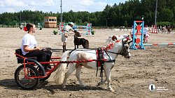 17-летняя челябинка сотворила сенсацию на Кубке губернатора по конкуру