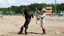 17-летняя челябинка сотворила сенсацию на Кубке губернатора по конкуру