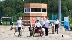 17-летняя челябинка сотворила сенсацию на Кубке губернатора по конкуру